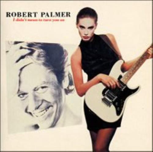 Robert Palmer I Didn't Mean To Turn You On UK CD single (CD5 / 5